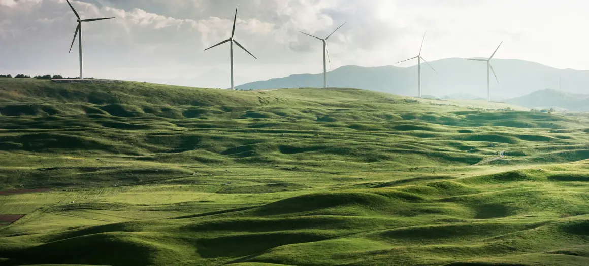 Groen landschap met windmolens op achtergrond 