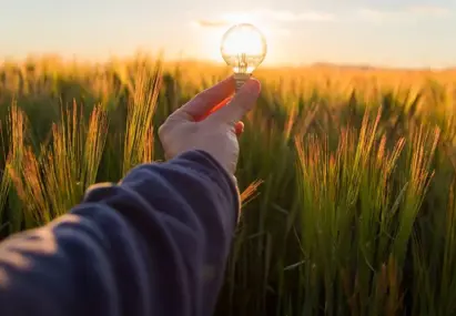 Hand houdt een ledlamp vast voor de ondergaande zon in een graanveld 