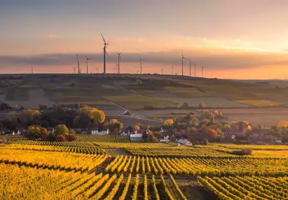 Weids natuurbeeld van weiland en windmolens op de achtergrond