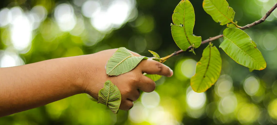 Persoon houdt tak met groene bladeren vast